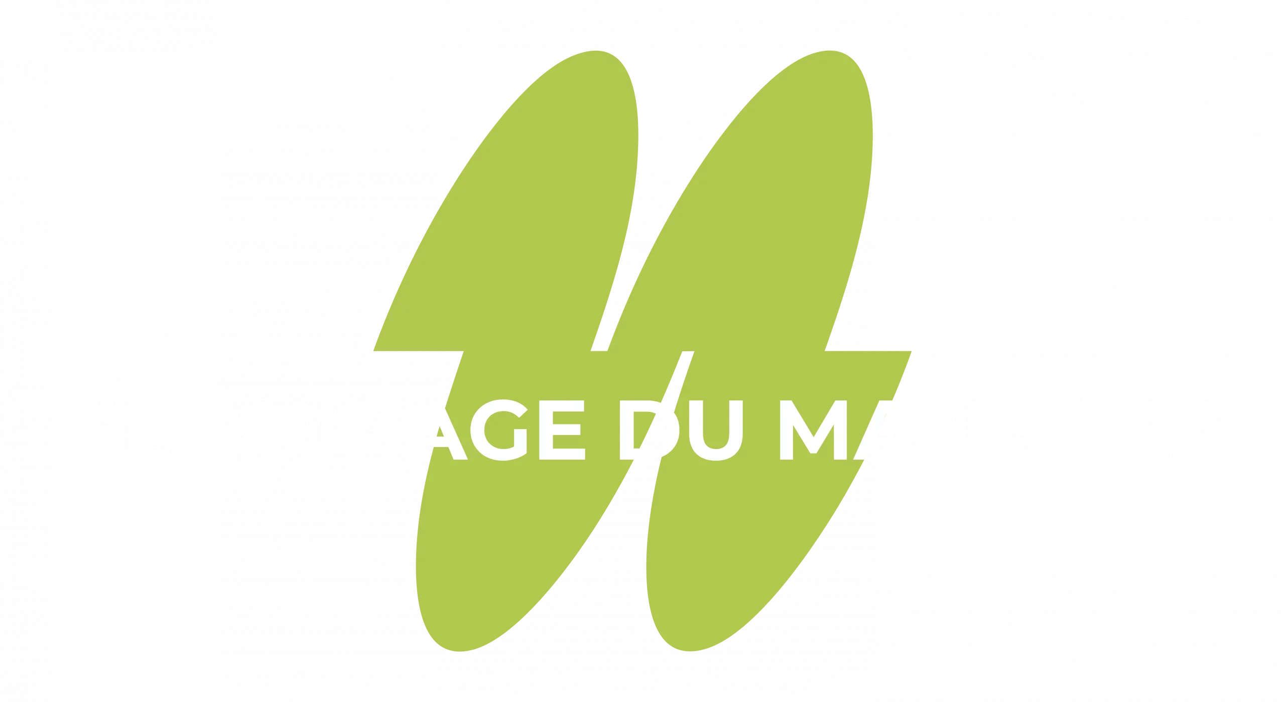 LEDM-LOGO-1-VERT-BLANC